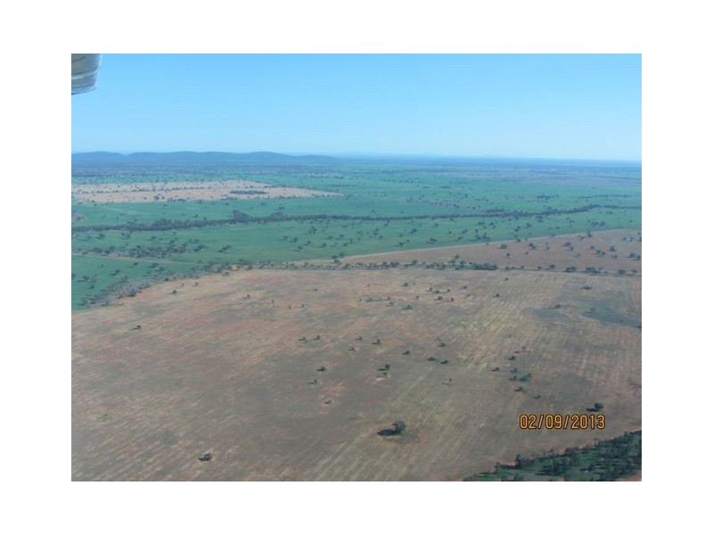 * Tara Additional, Condobolin NSW 2877