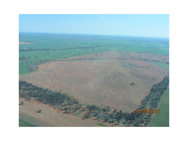 * Tara Additional, Condobolin NSW 2877
