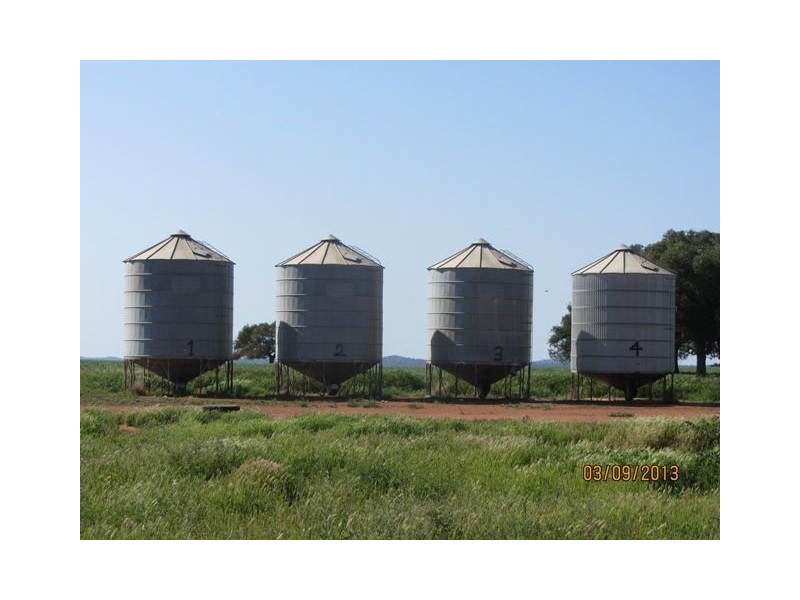 * Tara Additional, Condobolin NSW 2877