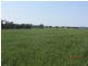* Tara Additional, Condobolin NSW 2877