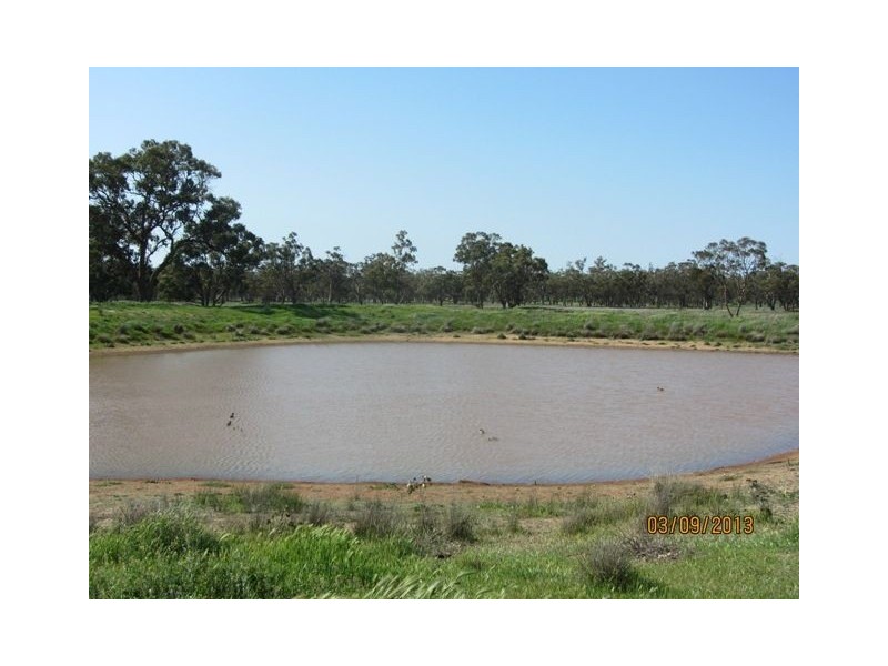 * Tara Additional, Condobolin NSW 2877