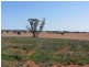 * Tara Additional, Condobolin NSW 2877
