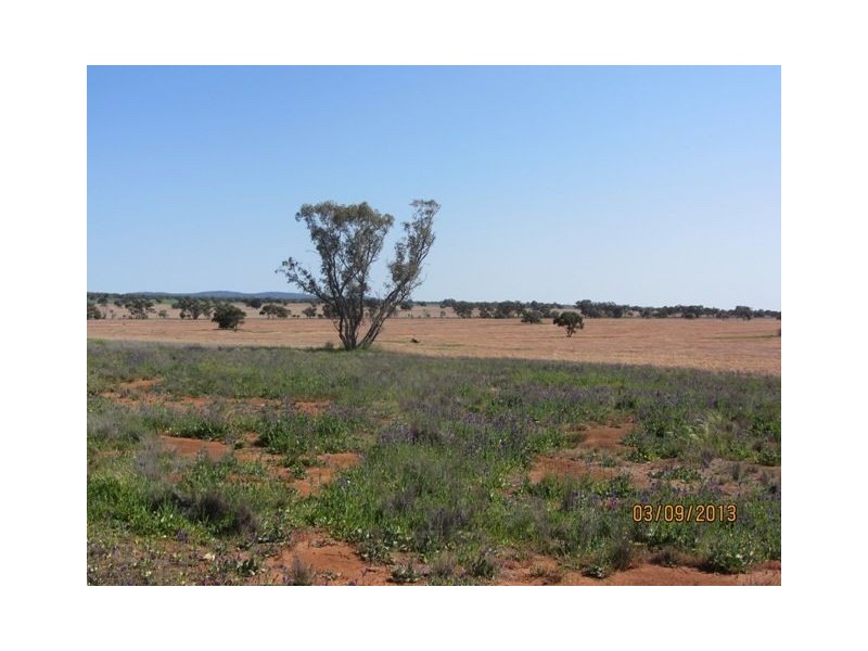 * Tara Additional, Condobolin NSW 2877