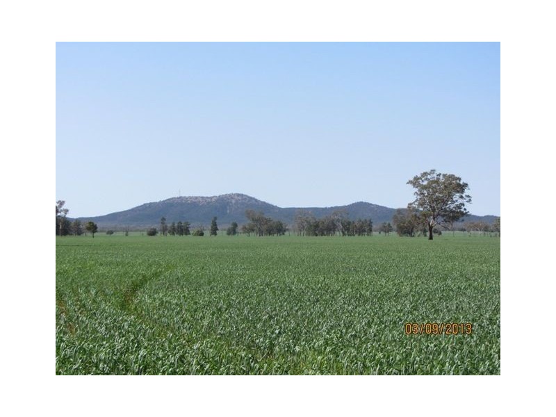 * Currawalla, Condobolin NSW 2877