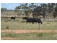 * Currawalla, Condobolin NSW 2877