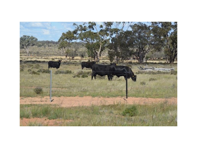 * Currawalla, Condobolin NSW 2877