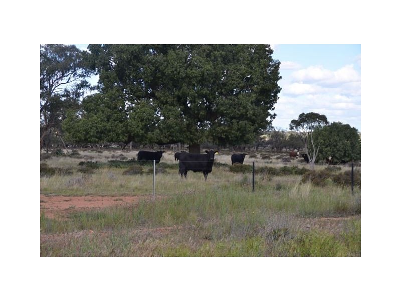 * Currawalla, Condobolin NSW 2877