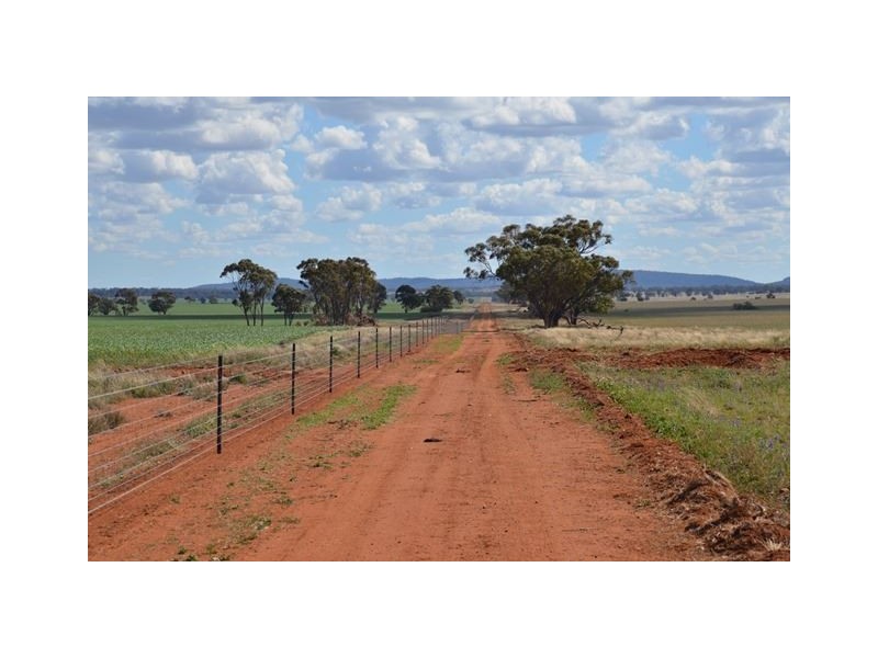 * Currawalla, Condobolin NSW 2877
