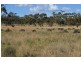 * Currawalla, Condobolin NSW 2877