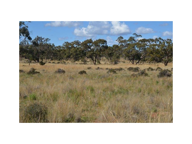 * Currawalla, Condobolin NSW 2877