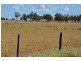 * Currawalla, Condobolin NSW 2877