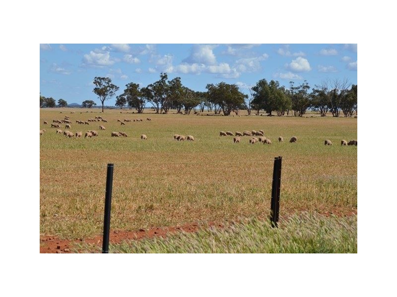 * Currawalla, Condobolin NSW 2877