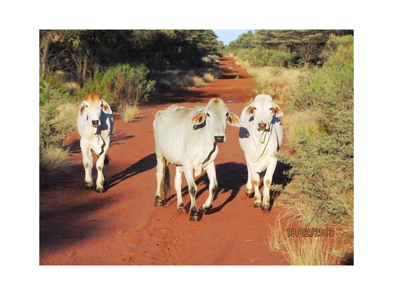 * Talyealye & Karto, Bourke NSW 2840