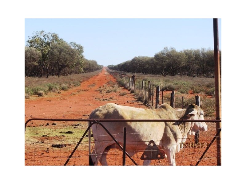 * Talyealye & Karto, Bourke NSW 2840