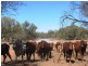 * Talyealye & Karto, Bourke NSW 2840
