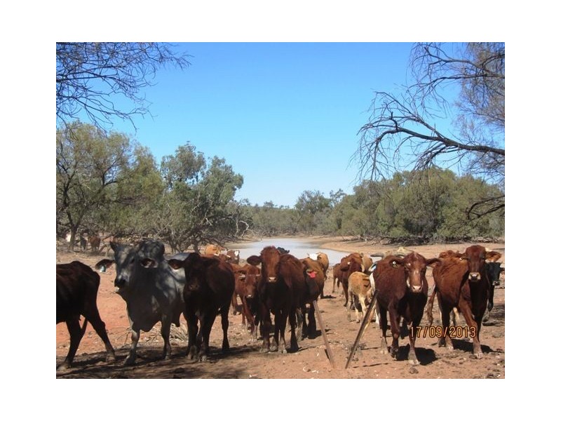 * Talyealye & Karto, Bourke NSW 2840