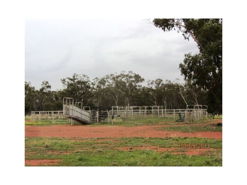 * Booroomugga Station, Cobar NSW 2835