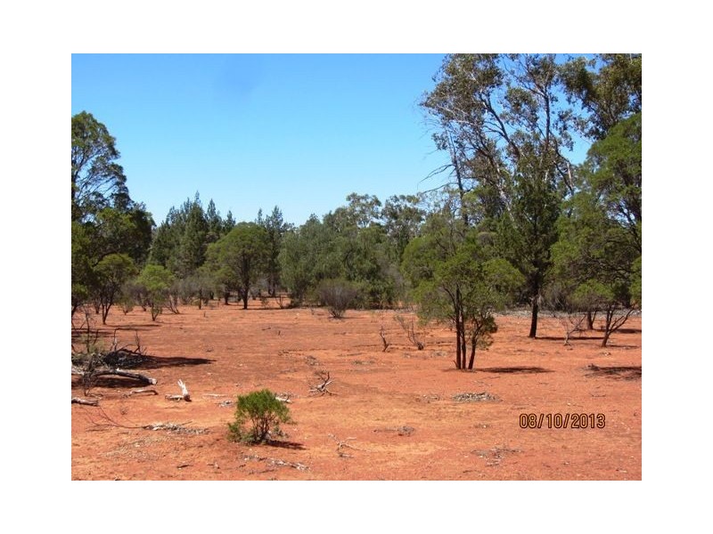 * Kookabah, Cobar NSW 2835