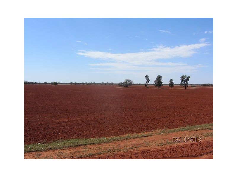 * Ashleigh Downs, Cobar NSW 2835