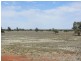 * Ashleigh Downs, Cobar NSW 2835