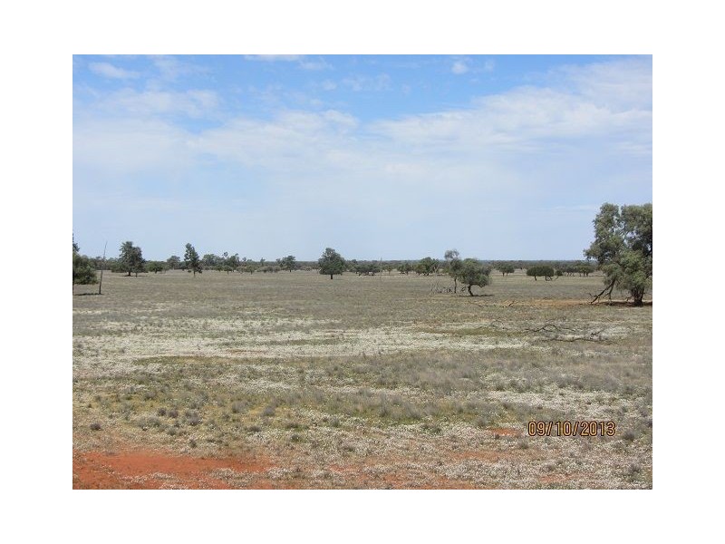* Ashleigh Downs, Cobar NSW 2835