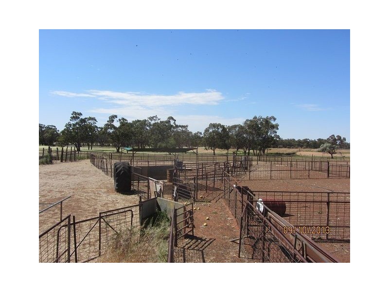 * Ashleigh Downs, Cobar NSW 2835