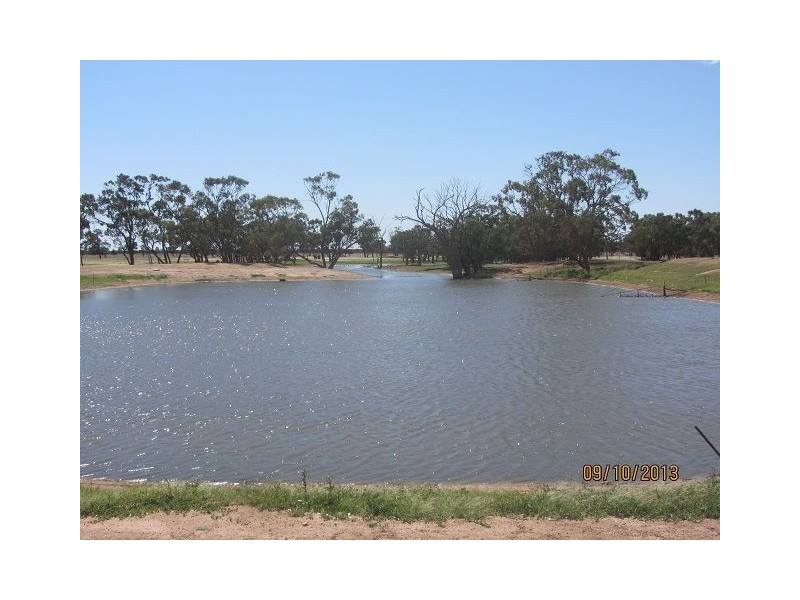 * Ashleigh Downs, Cobar NSW 2835
