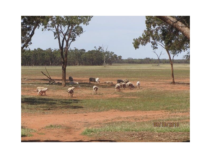 * Ashleigh Downs, Cobar NSW 2835