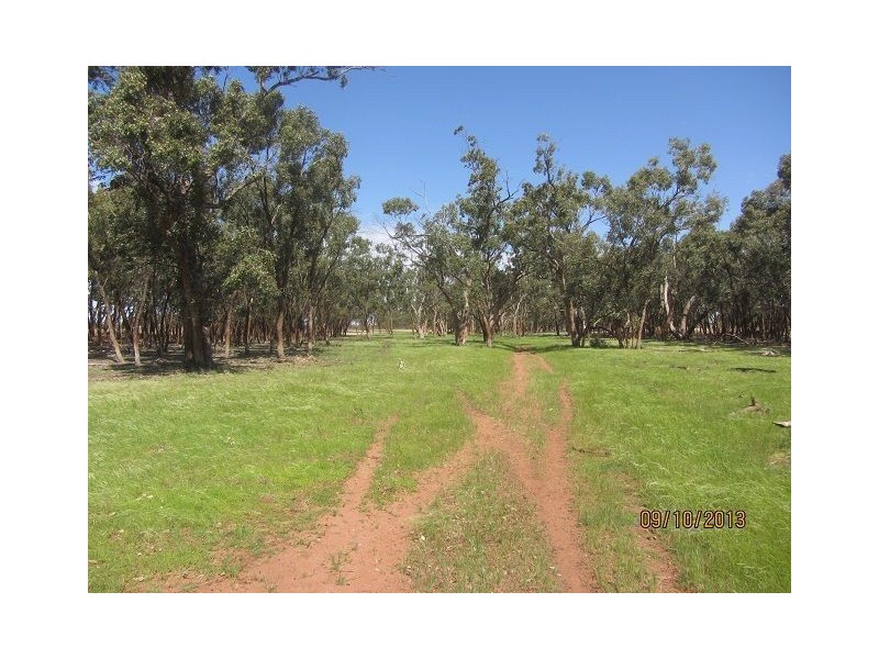 * Ashleigh Downs, Cobar NSW 2835