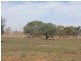 * Ashleigh Downs, Cobar NSW 2835
