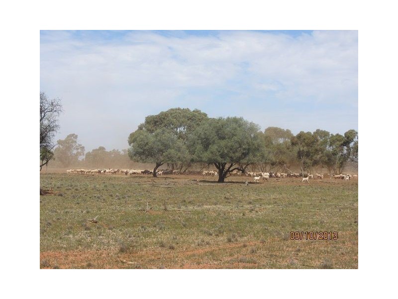 * Ashleigh Downs, Cobar NSW 2835