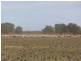 * Ashleigh Downs, Cobar NSW 2835
