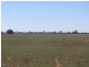 * Ashleigh Downs, Cobar NSW 2835