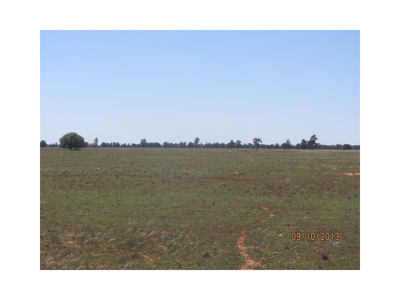 * Ashleigh Downs, Cobar NSW 2835