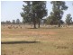 * Ashleigh Downs, Cobar NSW 2835