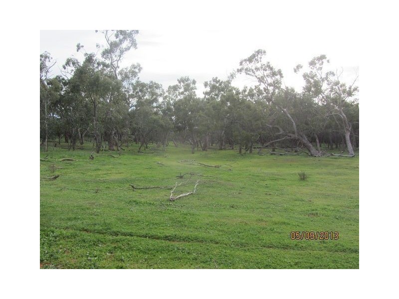 * The Meadows, Cobar NSW 2835