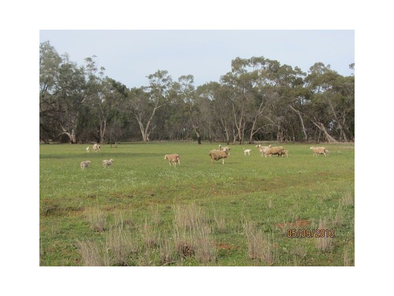 * The Meadows, Cobar NSW 2835