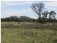 * The Meadows, Cobar NSW 2835