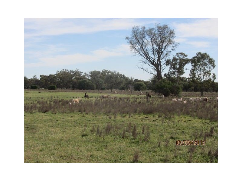 * The Meadows, Cobar NSW 2835