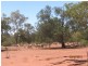 * Tanzara, Cobar NSW 2835