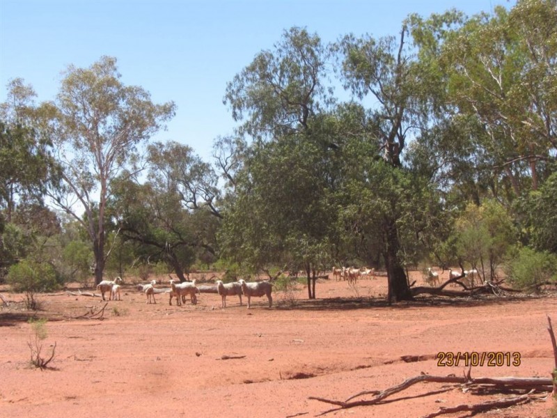 * Tanzara, Cobar NSW 2835
