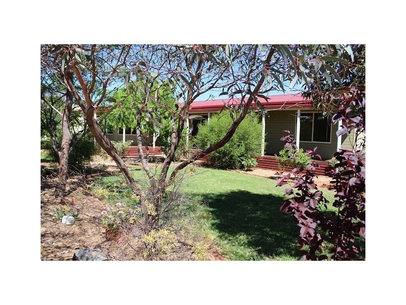 16 Linsley Street, Cobar NSW 2835