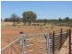 * Currawatha, Cobar NSW 2835