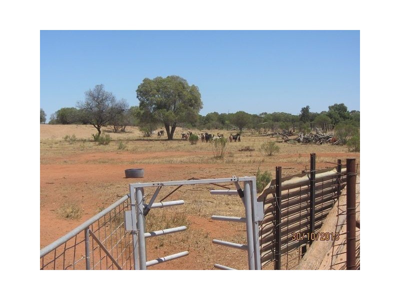 * Currawatha, Cobar NSW 2835