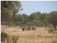 * Currawatha, Cobar NSW 2835