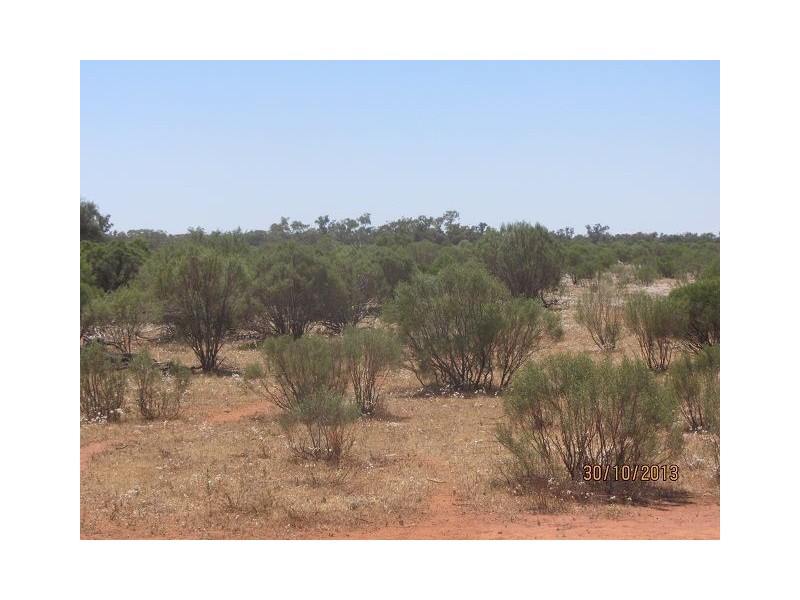 * Currawatha, Cobar NSW 2835