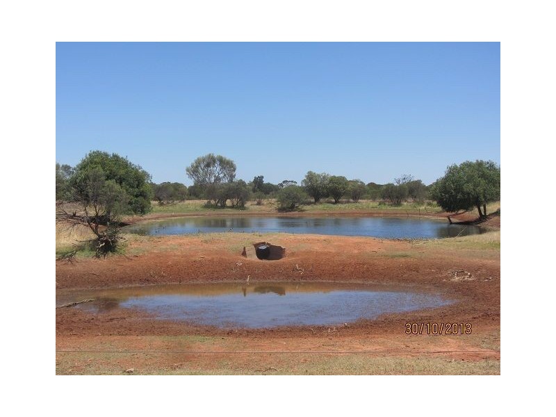 * Currawatha, Cobar NSW 2835