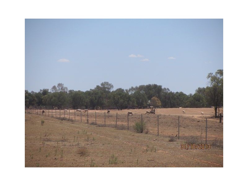 * Currawatha, Cobar NSW 2835