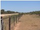 * Currawatha, Cobar NSW 2835