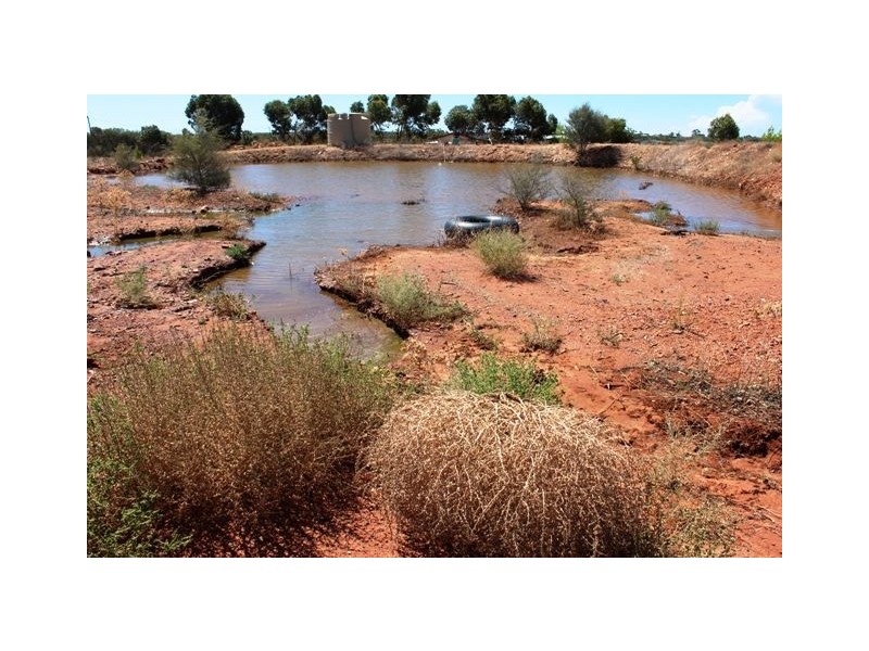 Lot 11 Lerida Road, Cobar NSW 2835